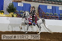 11r12_7585 proof