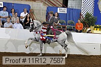 11r12_7587 proof