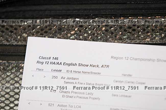 Proof 11r12_7591