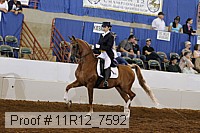 11r12_7592 proof