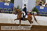 11r12_7594 proof