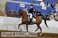 11r12_7595 proof