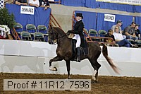 11r12_7596 proof
