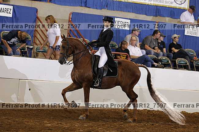 Proof 11r12_7597