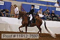 11r12_7597 proof