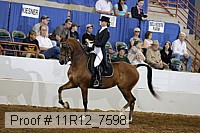 11r12_7598 proof