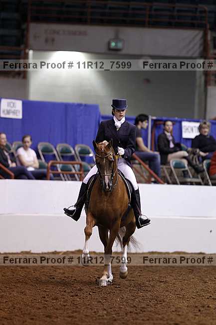 Proof 11r12_7599