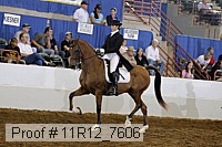 11r12_7606 proof