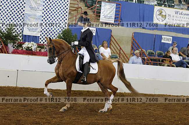 Proof 11r12_7608