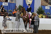 11r12_7612 proof