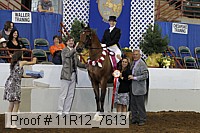 11r12_7613 proof