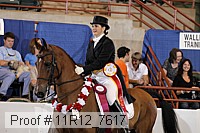 11r12_7617 proof