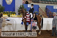 11r12_7628 proof