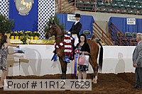 11r12_7629 proof