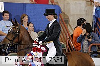 11r12_7631 proof