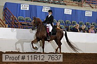 11r12_7637 proof