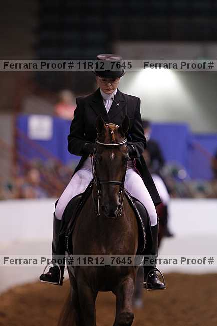 Proof 11r12_7645
