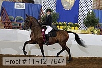 11r12_7647 proof