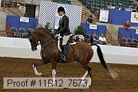 11r12_7673 proof