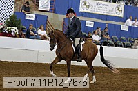 11r12_7676 proof