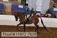 11r12_7679 proof
