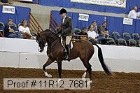 11r12_7681 proof