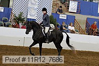 11r12_7686 proof
