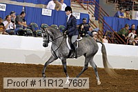 11r12_7687 proof