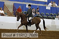 11r12_7689 proof