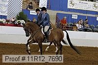 11r12_7690 proof