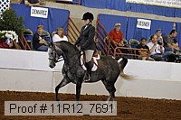 11r12_7691 proof