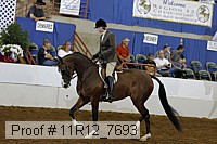 11r12_7693 proof