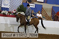 11r12_7694 proof