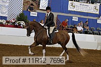 11r12_7696 proof
