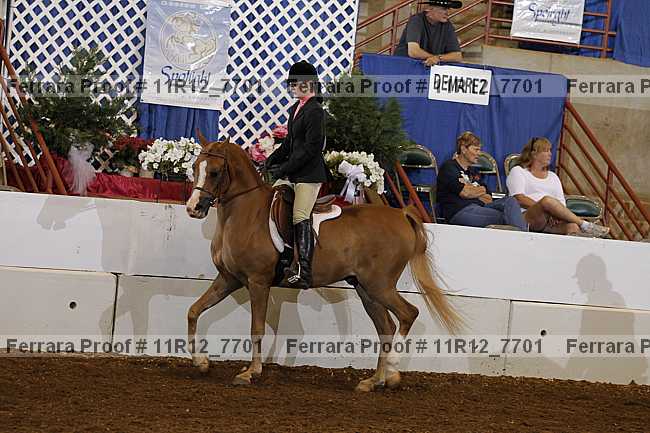 Proof 11r12_7701