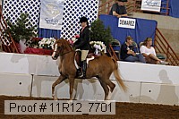 11r12_7701 proof
