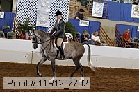 11r12_7702 proof
