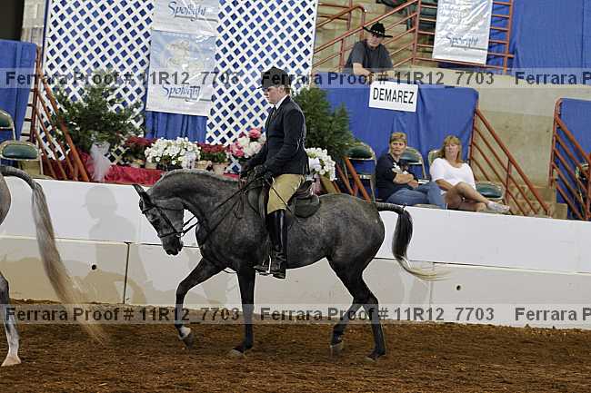 Proof 11r12_7703