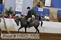 11r12_7703 proof