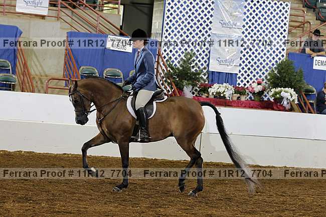 Proof 11r12_7704