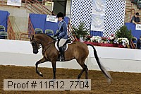 11r12_7704 proof