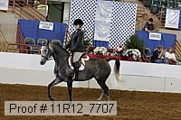 11r12_7707 proof