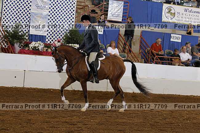 Proof 11r12_7709