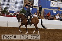 11r12_7709 proof