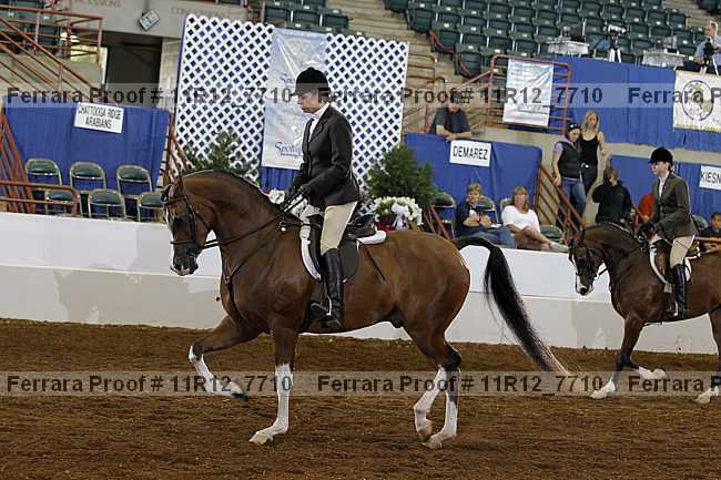 Proof 11r12_7710