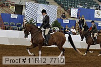 11r12_7710 proof