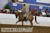 11r12_7713 proof