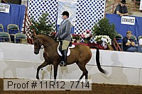 11r12_7714 proof