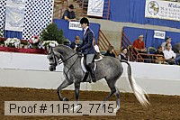 11r12_7715 proof