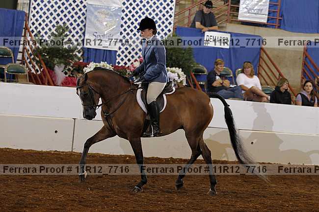 Proof 11r12_7716